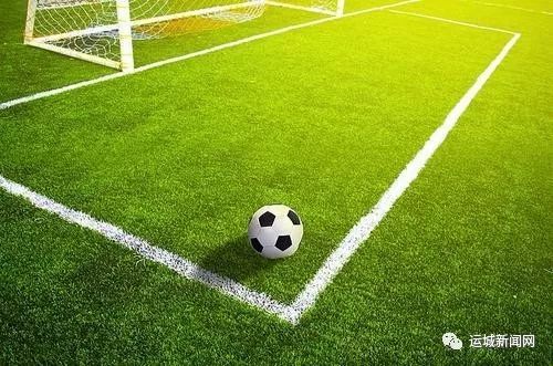 williamhill- 勒沃库森启用可回收草皮，绿色足球理念获盛赞  